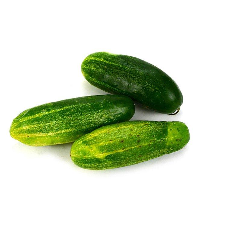 Cucumber Pickle 1lb