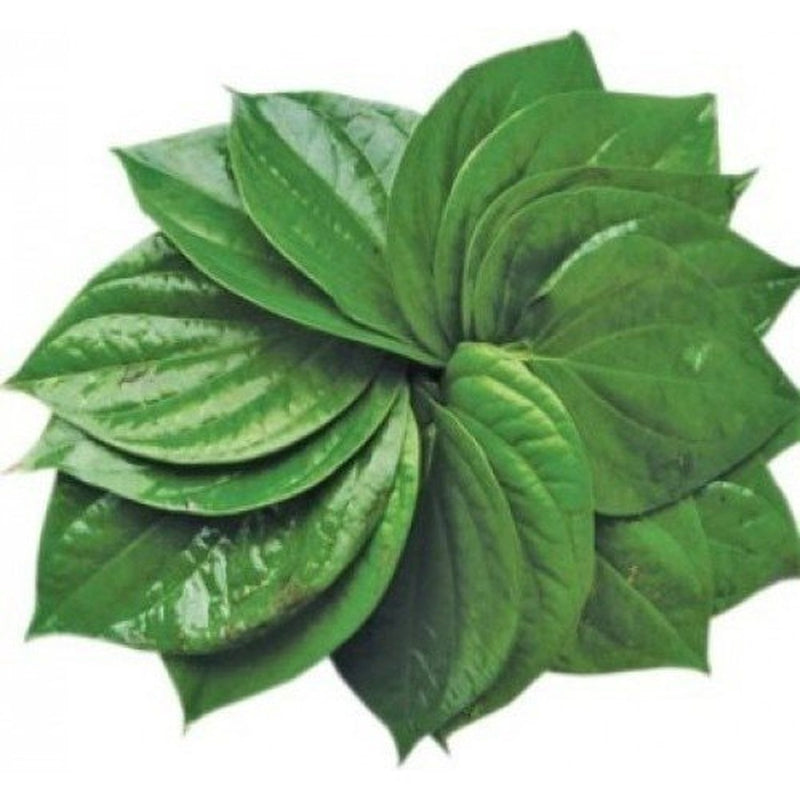 Pan Leaves 6 Pcs