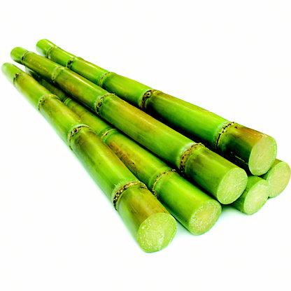 Sugar Cane Each